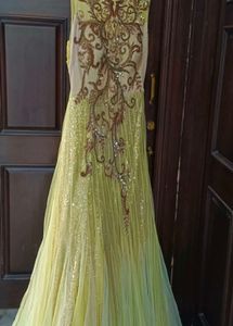 Elegant Ethnic Gown