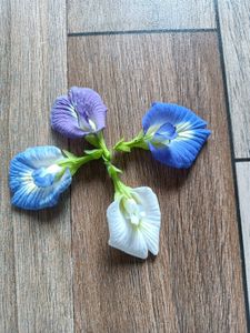 Aparijata/Butterfly Seeds