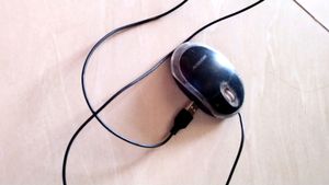 Mouse