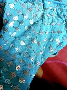 Backless Design Saree