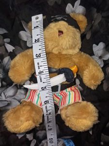 Pirate Teddy Bear