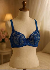 🇳🇿💫💗French Elegant Blue Net Bra