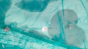 Teal Sequin Embellished Skirt