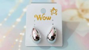 Silver Drop Earrings