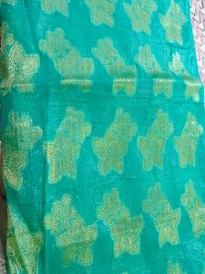 Beautiful And Elegant Shimmery Saree