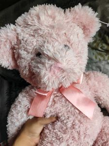 Pink Plush Soft Toy
