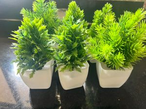 Miniature Artificial Plants (Set of 3)