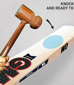 GM Mythos Prestige Short Handle English Willow Bat