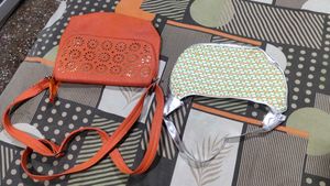 Combo Of 2 Bags