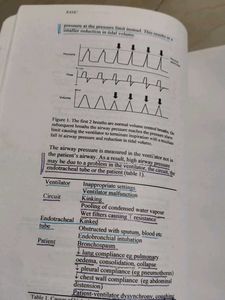 Basic Intensive Care Book