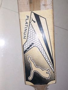 Bat