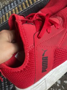 Original Branded Puma Shoes
