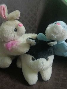 Soft Toys Combo