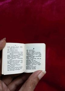Mini German English Dictionary