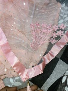 Price Drop 💧 PINK LEHENGA CHOLI WITH DUPATTA