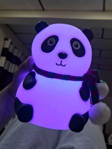 Adorable Panda  with Scarf