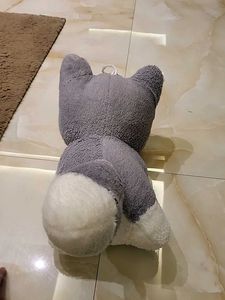 Husky Plush Toy