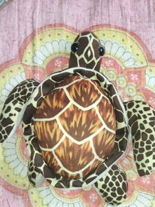 Turtle Plush Teddy