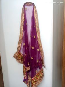 Beautiful Multi Coloured Lehenga
