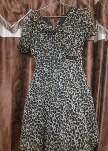 Leopard Print Mini Dress