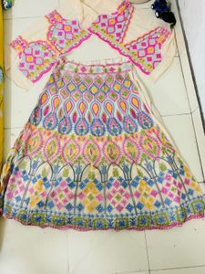Embroidered Lehenga Choli Set