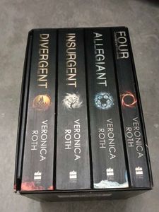 The Divergent Series