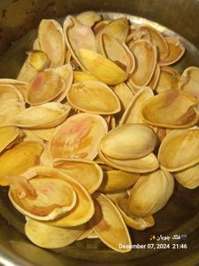 Pistachio Shells