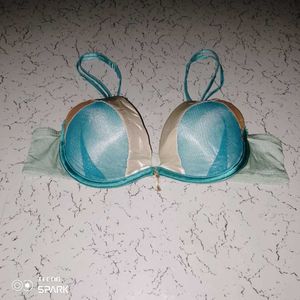 Paisley Print Bra 2pic