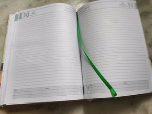 New Diary ✨