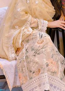 Elegant Kurta Set