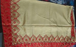 Elegant Embroidered Sari