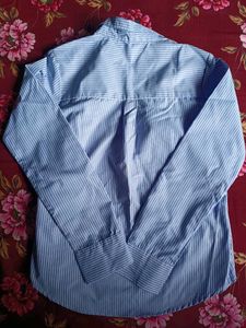 Striped Blue Shirt