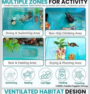 Blue Storage Container with Lid