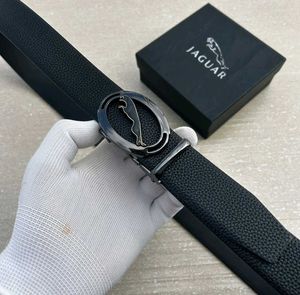 Jaguar Belts