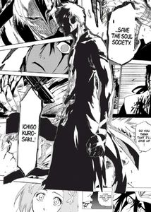 Bleach Manga Vol. 1