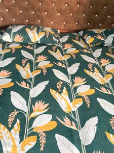 Bedsheet With 2 Pillow Cover