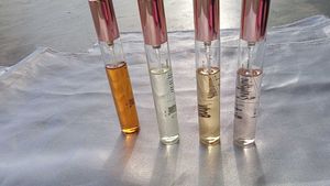 Plum BodyLovin Magnifi-Scent Luxury Perfumes Pack4