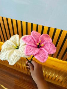 Crochet Coloured Lilly Pack 💕