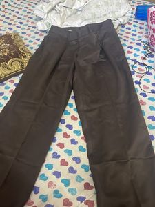 safari (m)size