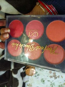 Perfect Blush Kit