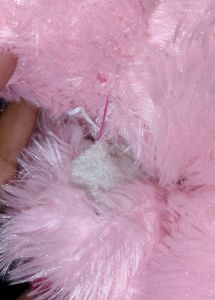 Teddy Bear Or Stuffed Toy
