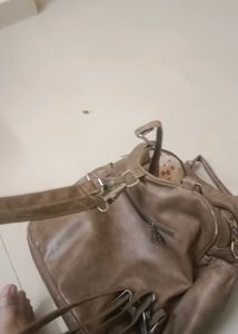Back Bag And Shoulder