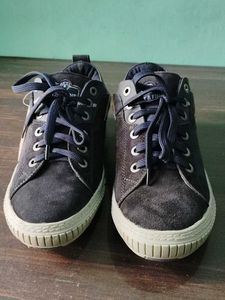Casual Shoes