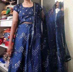 Blue Embellished Lehenga Choli