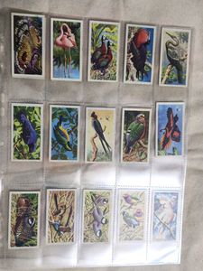 Cigrette Cards Pack Of 50