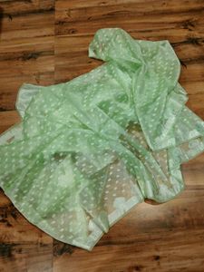 Mint Green Organza saree