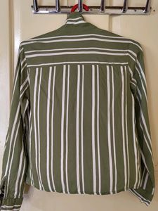 Olive Green White Striped  Shirt