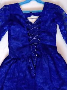 Elegant Blue Ethnic Gown