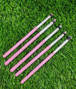 Eye Brushes Set Of 5