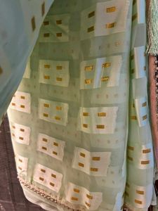 Mint Green Saree